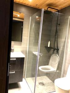 a bathroom with a shower and a toilet at Fyri Tunet Hemsedal in Hemsedal
