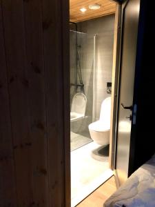 a bathroom with a shower and a toilet in it at Fyri Tunet Hemsedal in Hemsedal