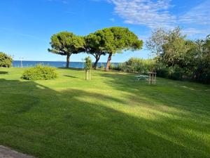 un parque con dos árboles y un banco en el césped en Appartement n 79 Moriani plage, en Santa-Lucia-di-Moriani