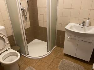 W łazience znajduje się prysznic, toaleta i umywalka. w obiekcie Rybářská restaurace a penzion u Horáků w mieście Uničov