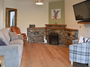 a living room with a cat sitting in front of a fireplace at Lansdowne in Dousland