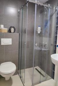 y baño con ducha, aseo y lavamanos. en Apartman MAJA en Vrnjačka Banja