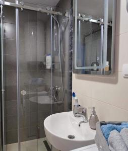 uma casa de banho com um lavatório e uma cabina de duche em vidro. em Apartman MAJA em Vrnjačka Banja