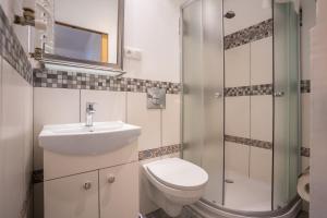 een badkamer met een toilet, een wastafel en een douche bij Karkonosky Apartamenty- Ściegny in Ściegny