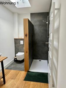 a bathroom with a shower stall and a toilet at Ferienwohnungen Tenner in Jüterbog