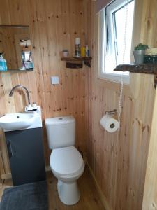 a bathroom with a white toilet and a sink at Sunset View Shepherds Hut in Dalmally