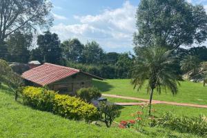 a small house in a field with a palm tree at Confortable cabaña para que disfrute con su pareja in Santandercito