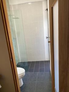 a bathroom with a toilet and a shower at Ah Muzenkab in El Cuyo