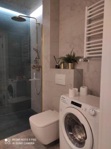 y baño con lavadora y aseo. en Apartament na Wzgórzu Zielony, en Łańcut