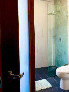 a bathroom with a toilet and a glass shower at Ah Muzenkab in El Cuyo