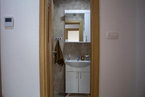 a bathroom with a sink and a mirror at Apartman Mazić Nikšić in Nikšić