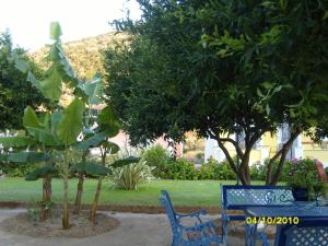 a blue bench and trees in a park at Elisabeth Villas in Kerveli