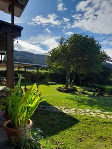 een tuin met een huis met een boom en gras bij Hostal Vista Boquete in Bajo Boquete