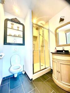 a bathroom with a toilet and a shower and a sink at Le Paddock - Chambres et table d'hôtes in Le Déluge