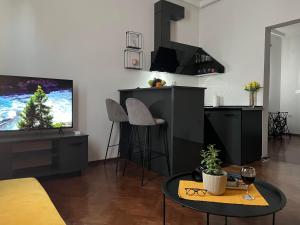 a kitchen and living room with a tv and a table at Gramophone Apartments in Bitola