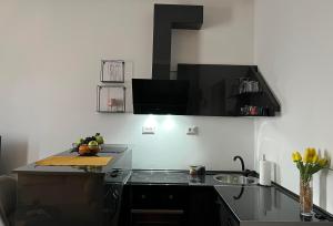 a kitchen with a sink and a stove top oven at Gramophone Apartments in Bitola