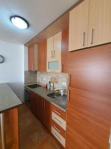a kitchen with wooden cabinets and a sink at Oksana apartment in Podgorica