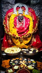 MaiharThe कस्तूरी的相册照片