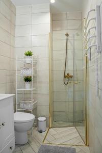a bathroom with a glass shower with a toilet at E.M. Studio In City Center in Kaunas