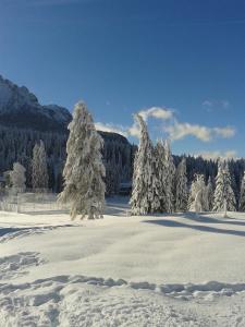 Το Hotel Dosses τον χειμώνα
