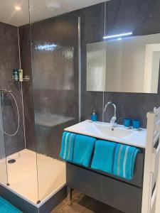 W łazience znajduje się umywalka i prysznic. w obiekcie Domaine de Jarentin - Chambres d'hôtes w mieście Saint-Marcel-de-Félines