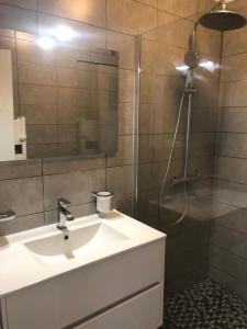 ein Bad mit einem Waschbecken und einer Dusche in der Unterkunft Appartement 5 étoiles charmant et cosy in Canet-en-Roussillon
