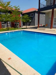 a large blue swimming pool in front of a building at Top Lodge in Blantyre in Blantyre