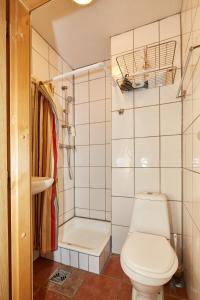 a small bathroom with a toilet and a shower at Reykjavik Downtown Hotel in Reykjav&iacute;k