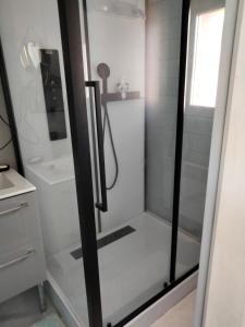 a shower with a glass door in a bathroom at La cabane et sa cascade in Lège-Cap-Ferret