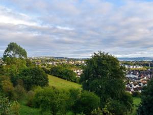 vistas a una ciudad desde una colina con árboles en View Point, en Stokeinteignhead