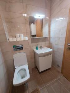 a bathroom with a toilet and a sink and a mirror at Sara Sarajevo in Bjelašnica