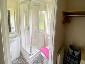 a bathroom with a shower and a toilet and a sink at Wye Lodge in Aberedw