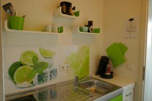 a kitchen with a sink and green shelves on the wall at Appartmentanlage/Ferienhaus Handewitt in Handewitt