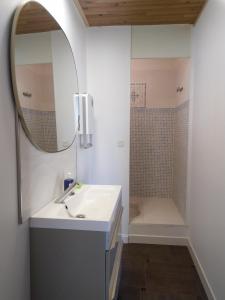 a bathroom with a sink and a shower at Gabrielle 40m2, Netflix in Sainte-Savine