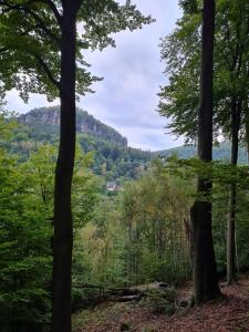 Φυσικό τοπίο κοντά σε αυτό το διαμέρισμα