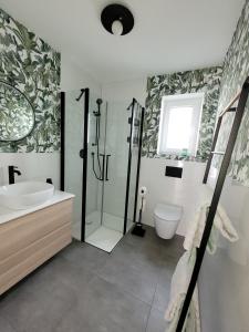 a bathroom with a shower and a sink and a toilet at Ferienwohnung Anna Maria Erding in Erding