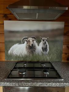 a picture of two sheep in a field at Veluwse Bungalow in Ermelo