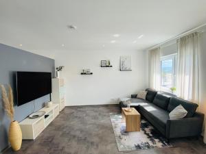 TV a/nebo společenská místnost v ubytování Gemütliche Neubauwohnung 70qm