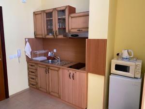 a small kitchen with a sink and a microwave at Apart Hotel Flora Residence - Clover Building Flat 09 in Borovets