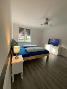 a bedroom with a bed and a television in it at EXKLUSIVE Ferienwohnung in Einbeck, Top Lage! in Einbeck