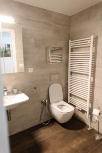 a bathroom with a white toilet and a sink at 90 m2 horský apartmán v centru Harrachova in Harrachov