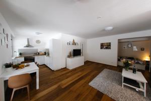 Kuchyň nebo kuchyňský kout v ubytování Apartmán s nádherným výhledem v centru Harrachova