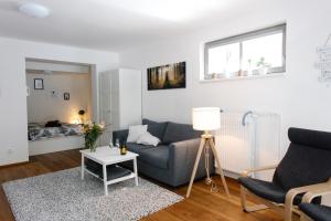 Posezení v ubytování Apartmán s nádherným výhledem v centru Harrachova