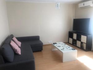 sala de estar con sofá negro y TV en Apartamento Ideal, en Madrid