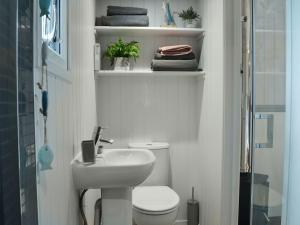 a bathroom with a toilet and a sink and towels at Caban Caru in Dinas Mawddwy