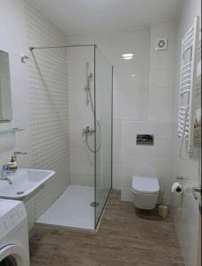 La salle de bains est pourvue d'une douche, de toilettes et d'un lavabo. dans l'établissement Apartman City kvart, à Podgorica