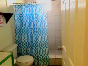 a bathroom with a blue shower curtain and a toilet at Juju's Cottage with magnificent views in Laborie