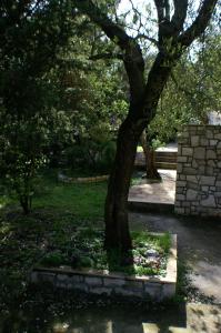 Vonkajšia záhrada v ubytovaní Apartment Zrnovska Banja 3154a