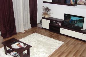 Televízia a/alebo spoločenská miestnosť v ubytovaní Apartment Zrnovska Banja 3154a