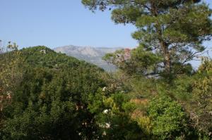Príroda v okolí apartmánu